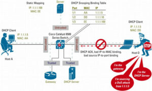 DHCP-Snooping
