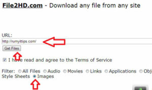 Download-any-file-from-any-site-with-File2HD1
