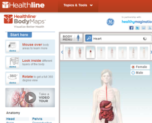 Explore The Human Body in 3D View2