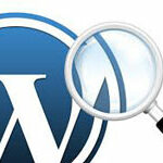 Fix-WordPress-categories-are-not-working