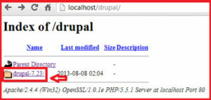 How-To-Install-Drupal-on-Localhost-with-Xampp4