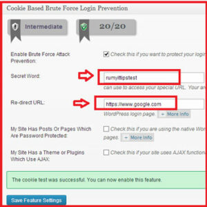 How-to-Secure-your-WordPress-login-page5