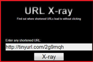 How-to-check-if-a-shortened-link-is-safe-or-no1