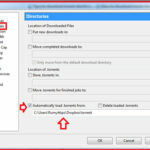 How-to-download-torrent-directly-to-Dropbox2