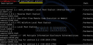 How-to-use-Searchsploit-On-Kali-Linux3