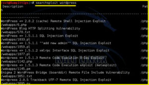 How-to-use-Searchsploit-On-Kali-Linux6