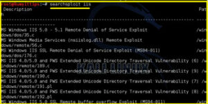 How-to-use-Searchsploit-On-Kali-Linux7