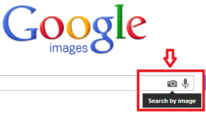 googleimage